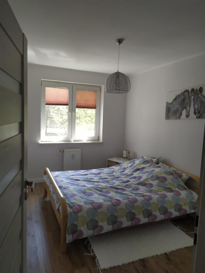 Апартаменты Apartament Мендзыздрое Экстерьер фото